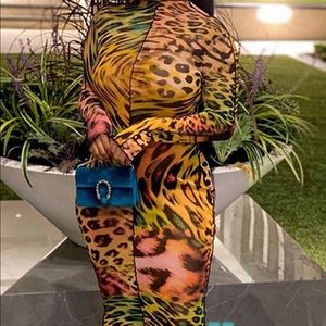 Leopard Print Bodycon Dress.